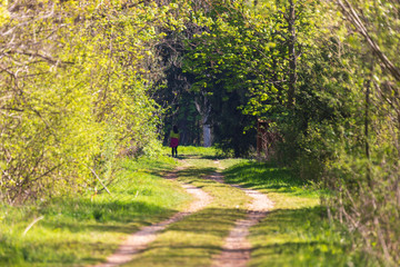 Forest road between trees. In the end, there is a woman walking away.