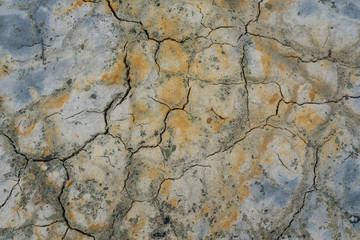 Poisonous earth crack texture background