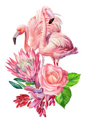 Summer composition of flowers protea, roses, palm leaves flamingo birds, isolated background, watercolor drawings. Tropical design. 