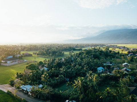 Aerial view of rural with ricefield and coconut trees in Aceh, Indonesia.