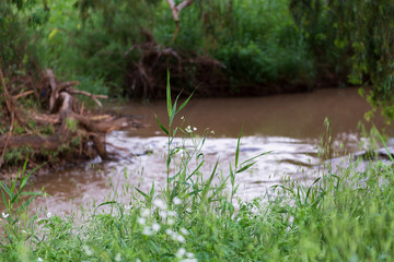 The Kishon River is a river in Israel that flows into the Mediterranean Sea near the city of Haifa.