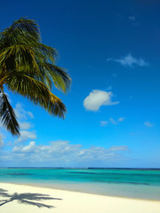 Beautiful white sand beach with palm trees, turquoise ocean water and blue sky with clouds in sunny day