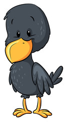 Niedliche Amsel - Vektor-Illustration