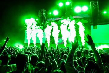 crowd of people dancing in concert