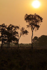 Fototapeta na wymiar sunset with silhouettes
