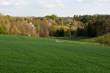 Sächsische Schweiz, Rapsfelder, Roadtrip.