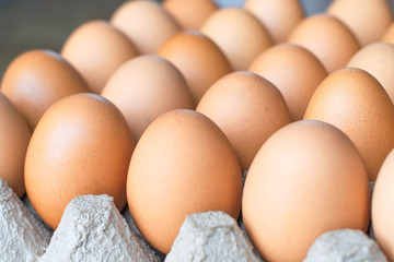 fresh eggs for cooking from the farm