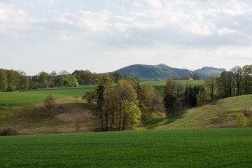 Sächsische Schweiz, Rapsfelder, Roadtrip.
