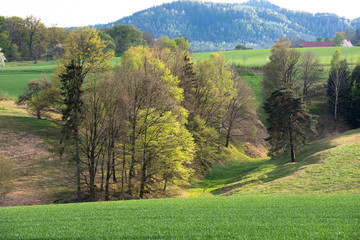 Sächsische Schweiz, Rapsfelder, Roadtrip.