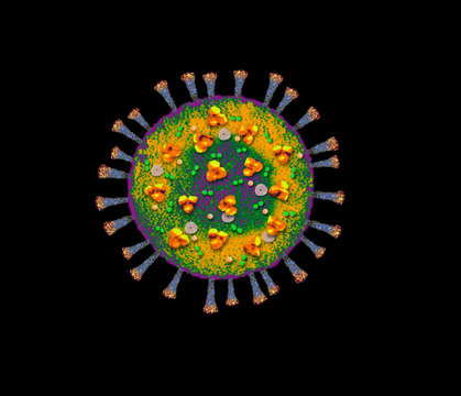 Digitally generated image of&dagger;Coronavirus
