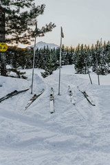 skiing in winter