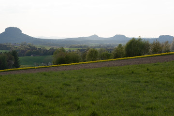 Sächsische Schweiz, Rapsfelder, Roadtrip.