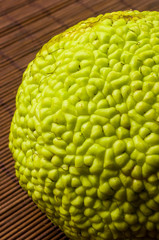 Green fruit of maclura pomifera, osage orange, horse apple, adam apple grow on bamboo mat