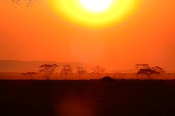 Fototapeta na wymiar wunderschöner Sonnenuntergan im Serengeti Nationalpark in Tanzania