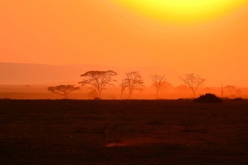 Plakat Sonnenuntergang im Serengeti Nationalpark in Tanzania