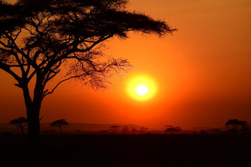 Obraz na płótnie Canvas Sonnenuntergang im Serengeti Nationalpark in Tanzania