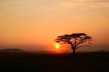 Fototapeta na wymiar Sonnenuntergang im Serengeti Nationalpark in Tanzania