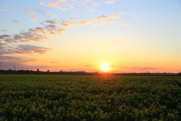  
Kolorowy zachód słońca nad obszarem wiejskim, kolorowe chmury. 
