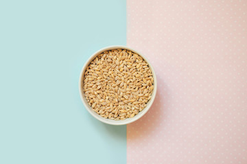 pearl barley in a bowl on a pastel background, copy space