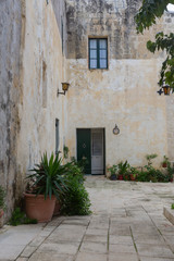 Fototapeta na wymiar doorway with decorative potplants in vintage setting