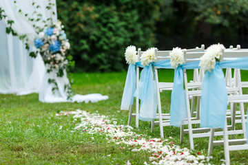 Wedding ceremony decorations: chairs with ribbons and chrysanthemums, a lot of flowers in white and blue style, on a background of greenery