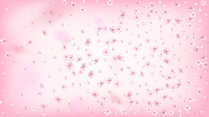 Nice Sakura Blossom Isolated Vector. Beautiful Falling 3d Petals Wedding Border. Japanese Blurred Flowers Wallpaper. Valentine, Mother's Day Summer Nice Sakura Blossom Isolated on Rose