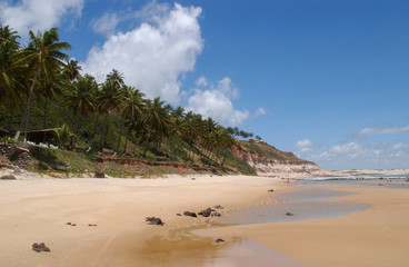 Chalk beach, Tibau do Sul, near Natal, Rio Grande do Norte, Brazil on October 15, 2013