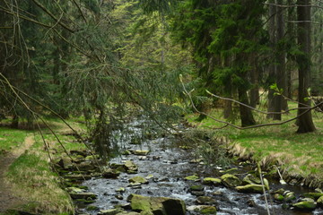 Fototapeta na wymiar Schwarzwassertal im Erzgebirge
