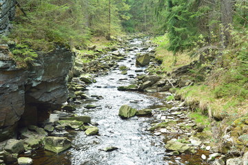 Schwarzwassertal im Erzgebirge