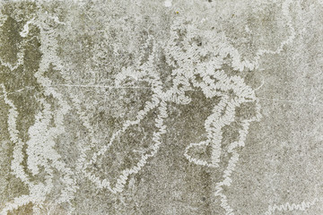 Obraz premium Oberfläche mit Algen, die von Schnecke abgefressen wurden, Hintergrund, Struktur