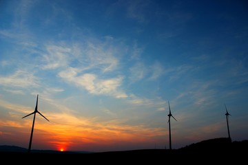 Obraz premium Windräder vor Sonnenuntergang