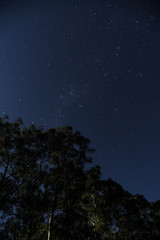night sky with stars