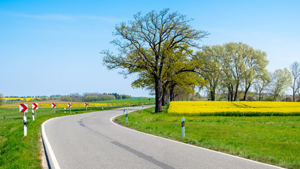 Eine Straße verläuft in einer Rechtskurve. Schilder warnen vor der Kurve.
