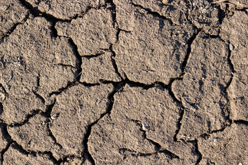 The texture of dry soil with cracks. Ecological background. The global problem of drought. Land in dry season