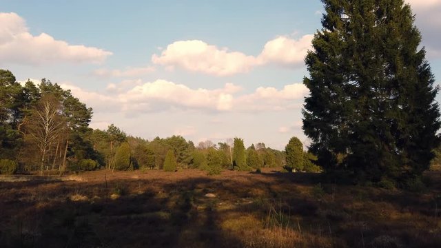 L&uuml;neburg Heat at Wilseder Berg, camera panning slightly to the right, 4k video footage