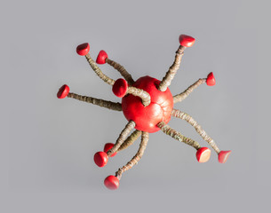 Model of the coronavirus virus