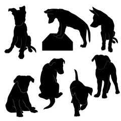 set of silhouettes of cute puppies (sit, back, stand, front, profile) vector isolated on white background