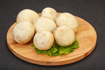 Raw champignons over the board