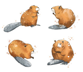 Set of watercolour beavers,  hand painted illustration - obrazy, fototapety, plakaty