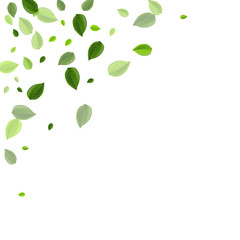 Green Foliage Abstract Vector Wallpaper. 