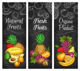 Exotic and garden fruits harvest, vector chalk sketch banners. Organic bio fruits avocado, banana, and melon, pineapple, tropic kiwi, orange citrus and pear, grapes and mango