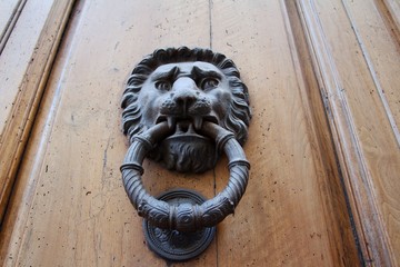 Obraz premium Koładka na drzwiach, rzeźba lwa - Florencja, Toskania, Włochy 