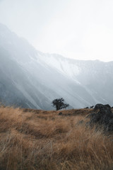 misty mountain landscape