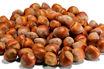 hazelnuts isolated on white background