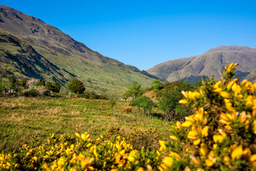Fototapeta na wymiar Landscape of the isle of Skye, Scotland