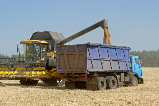 Kharkiv Region, Ukraine - July 25, 2017: Combine harvester load wheat in the truck at the time of harvest in a sunny summer day in Kharkiv Region, Ukraine on July 25, 2017.