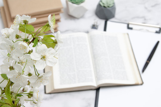 Blooming cherry on the background of an open bible on the desktop