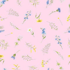 watercolor summer pattern wildflowers, plant, leaves. Meadowflowers