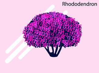 Rhododendron tree and flower flat vector icon illustration full editable