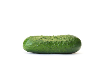One fresh cucumber isolated on the white background.
